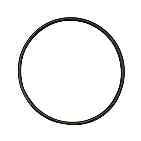 Filter Bracket O-ring eSpring